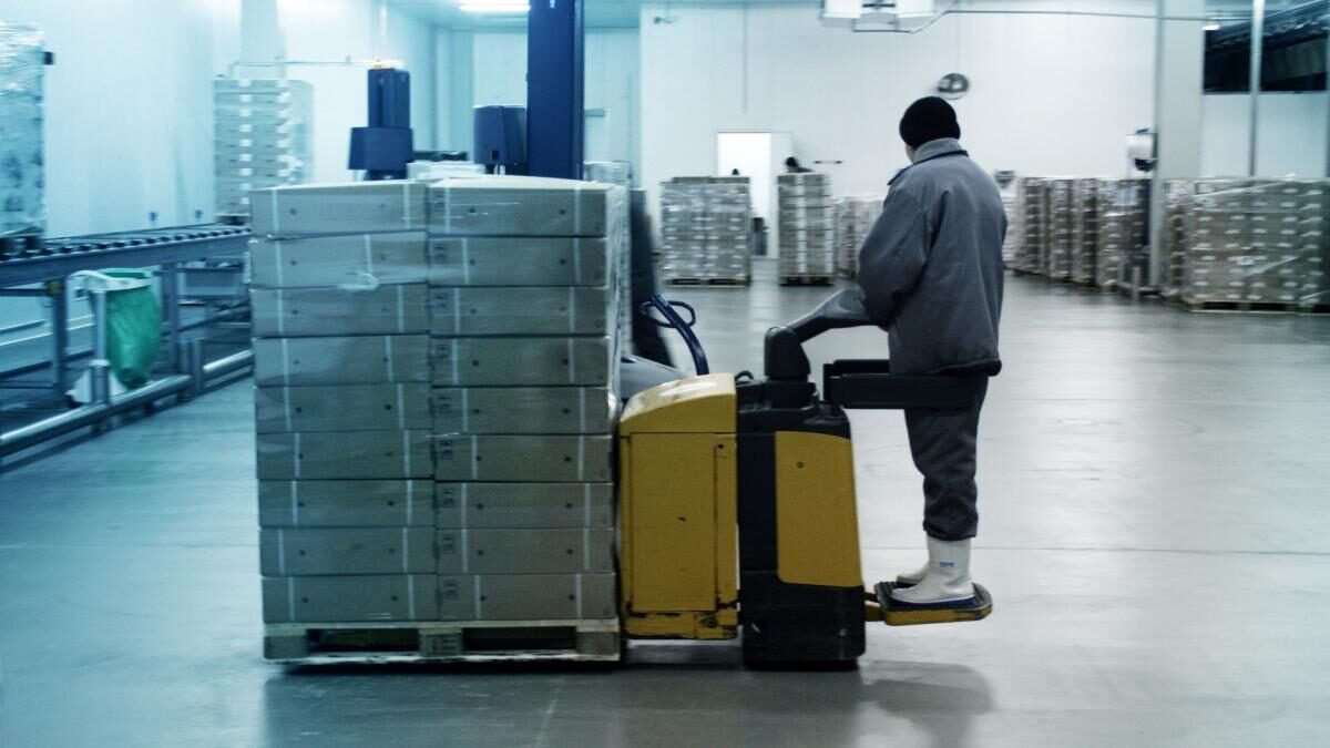 Cómo elegir el mejor almacén de congelación para productos alimenticios
