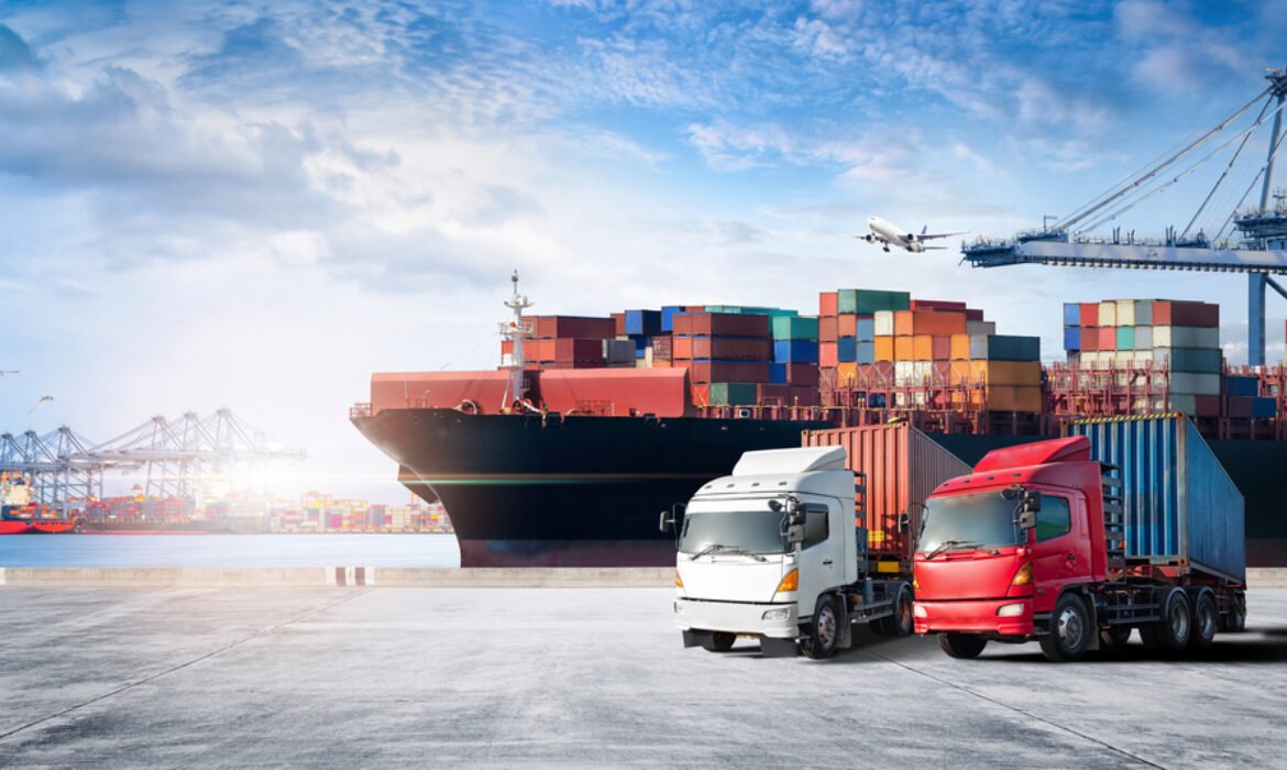 Padrón de importadores