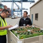 Cumplimiento aduanero en alimentos y agroindustria: puntos críticos para importar y exportar sin contratiempos