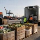 Logística internacional para alimentos y agroindustria: cómo reducir riesgos en productos sensibles